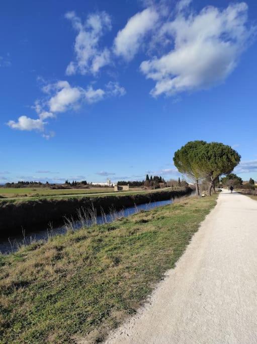 Appartement A 10Km De La Grande Motte, Palavas... Lunel  Eksteriør billede